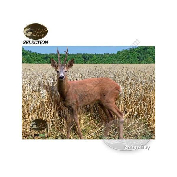 THS SELECTION Blasons animaliers avec zones vitales naturelles pour le tir � l'arc sur cible 2D 3 pc