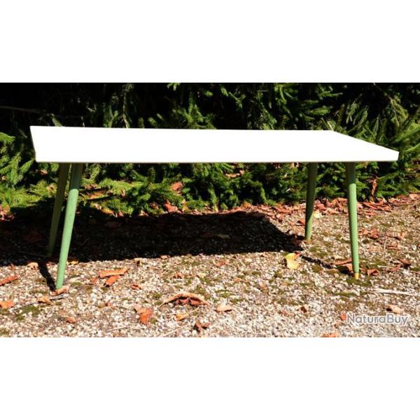 Superbe table basse en bois de fabrication artisanale