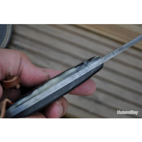 LAME DAMAS - MANCHE CORNE DE BLIER (fbk)