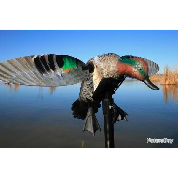 Sarcelle � ailes tournantes Mojo Elite Serie Teal