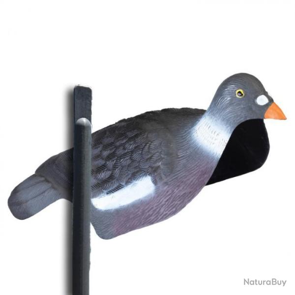 Coquille pigeon plastique