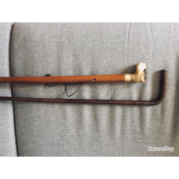 Cannes  pour rajout dans collection