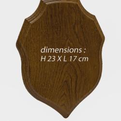 &Eacute;cusson Brocard / Sanglier