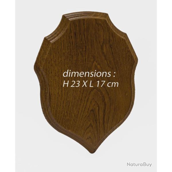 �cusson Brocard / Sanglier