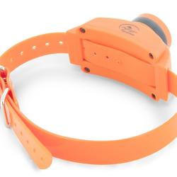 Collier beeper suppl. de dressage & rep&eacute;rage SportDog