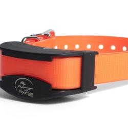 Collier suppl. de dressage SportDog / Petit chien SDR-AFE
