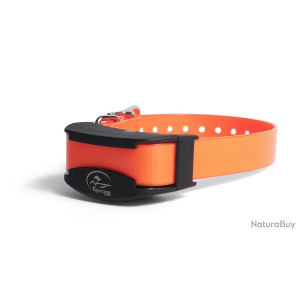 Collier suppl. de dressage SportDog / Petit chien SDR-AFE
