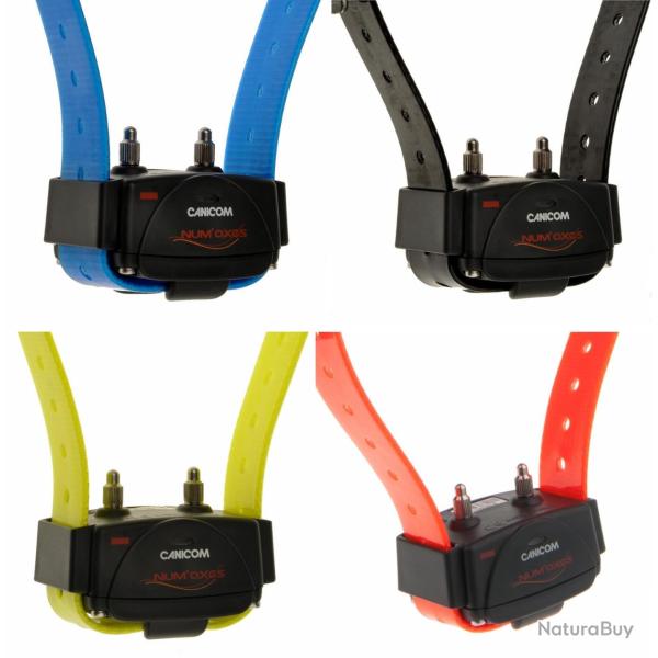 Collier suppl�mentaire Canicom-Noire