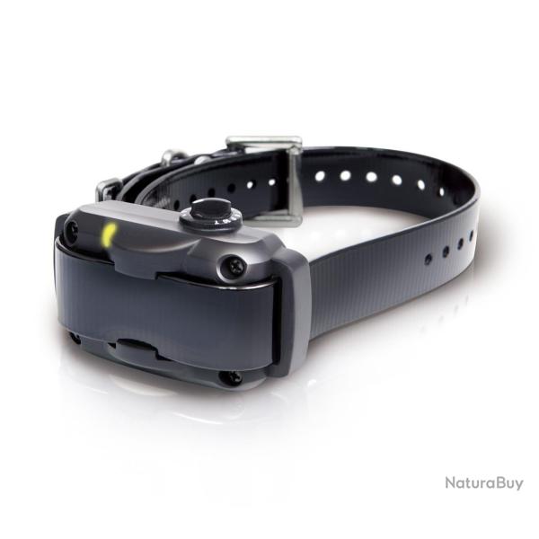 Collier anti-aboiement Dogtra YS600