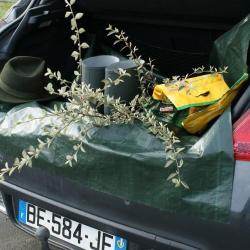 B&acirc;che de coffre