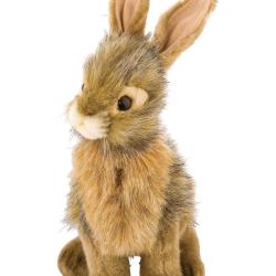 Peluche Li&egrave;vre 22 cm