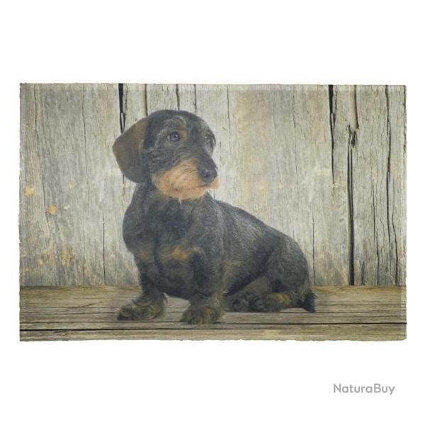 Tapis de cuisine Teckel 2