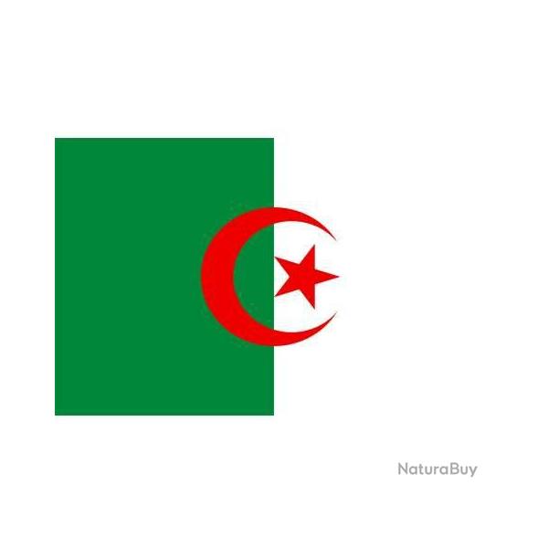 Drapeau Algerie (101 Inc)