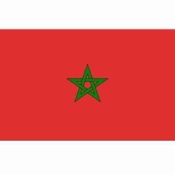 Drapeau Maroc (101 Inc)
