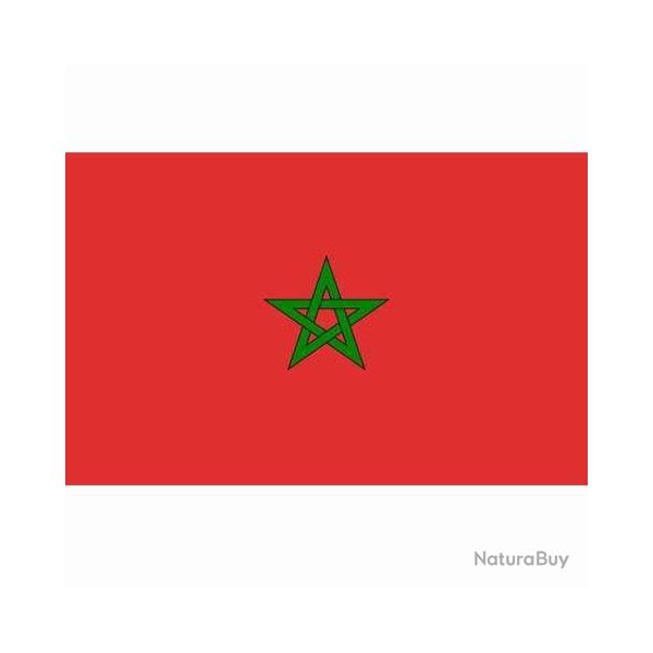 Drapeau Maroc (101 Inc)