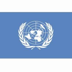 Drapeau ONU (101 Inc)