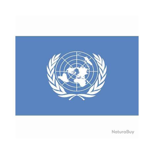 Drapeau ONU (101 Inc)