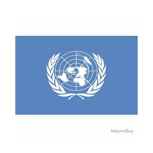 Drapeau ONU (101 Inc)
