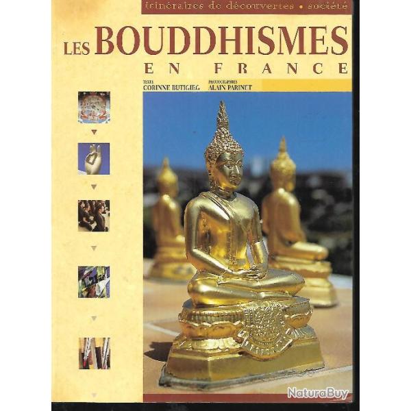 Les bouddhismes en france  de corinne butigieg