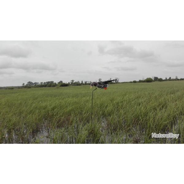 FLYERFLAP OIE RIEUSE ET SON FLOTTEUR AVEC ROTOR 360�