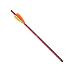 5 Fl&egrave;ches pour arbal&egrave;te Jaguar r&eacute;sistantes alu 16" 150 livres