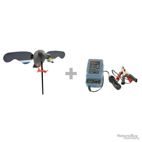 Pack Canard lectrique  ailes tournantes 6V + chargeur