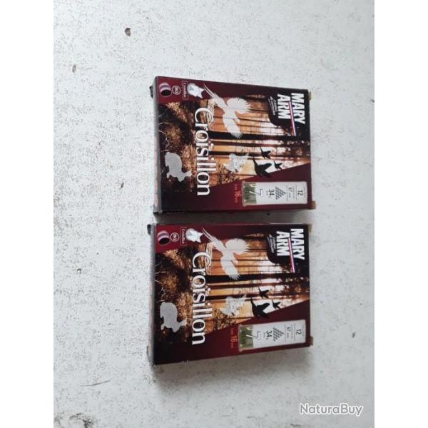 LOT DE 20 CARTOUCHES (MARY ARM) CAL.12 - CROISILLON 34 BG -PLOMB 7