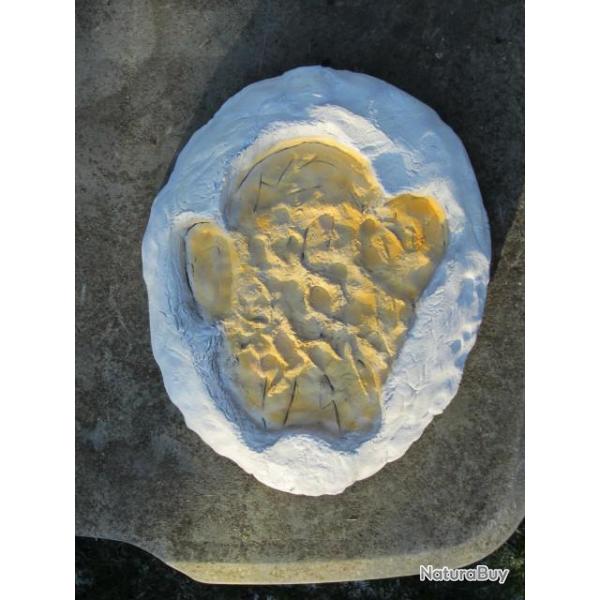 Taxidermie vritable empreinte de rhinocros en rsine.