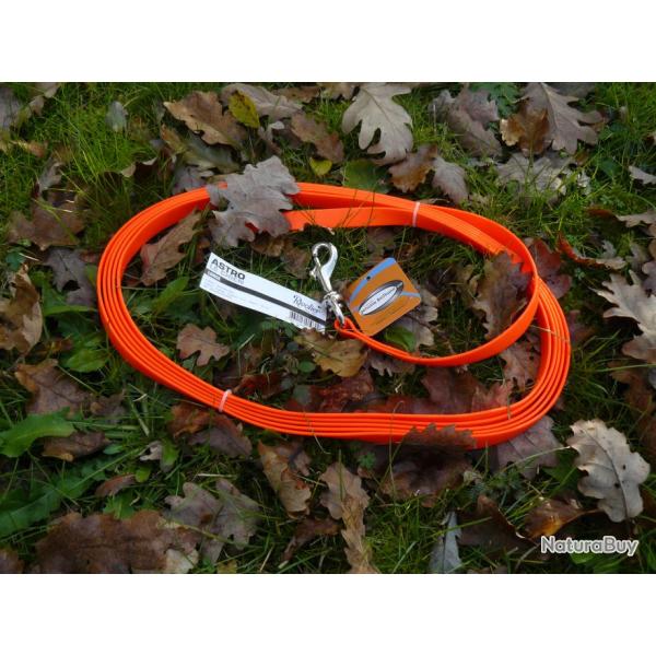 Laisse / longe de 5 m