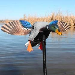 Canard &agrave; ailes tournantes Mini Mallard Elite Series Mojo