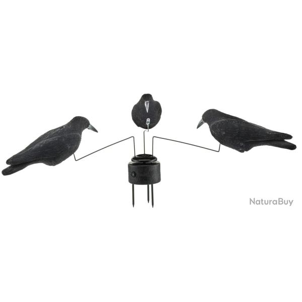 Mange A Corbeaux Tourniquet