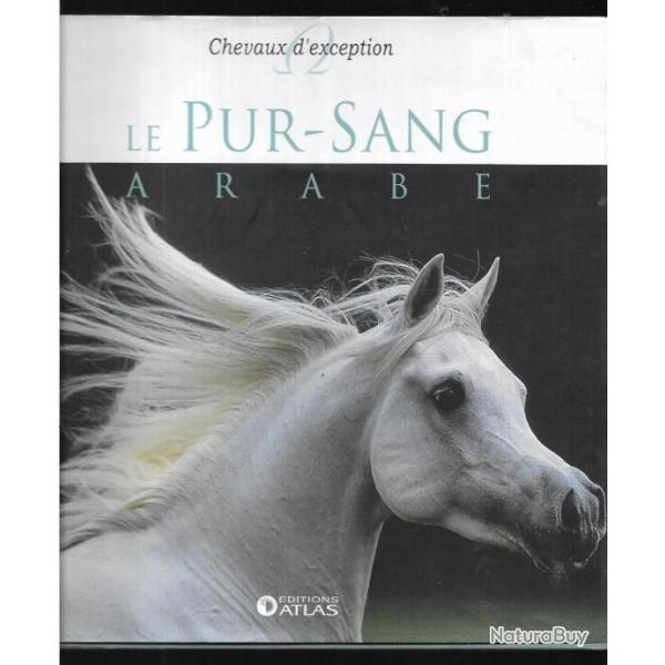 le pur-sang arabe , chevaux d'exception atlas