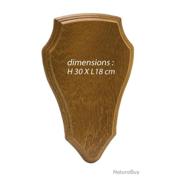 Ecusson pour trophe chevreuil dim. H. 30 x L. 18 cm