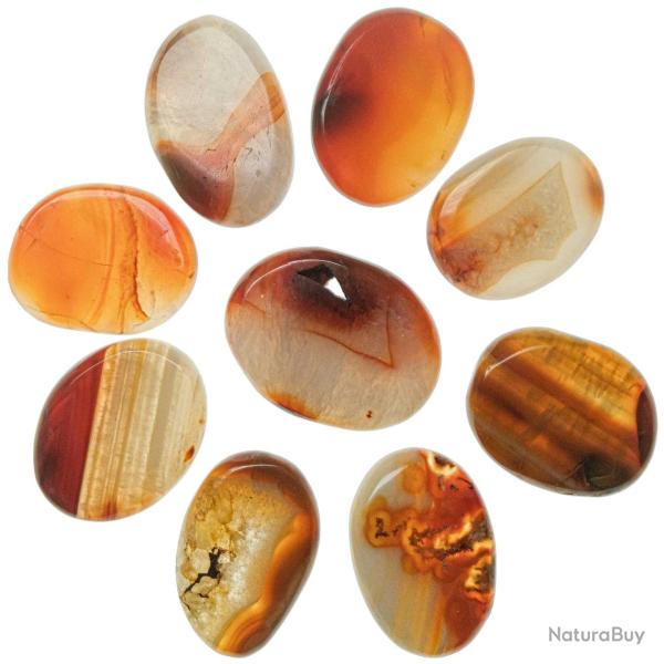 Galet plat cornaline - A l'unit�