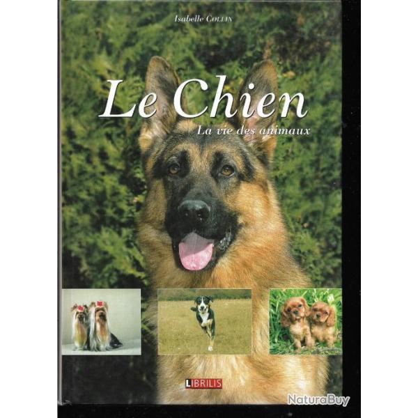le chien , la vie des animaux d'isabelle collin