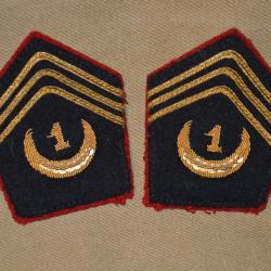 PATTES DE COL OFFICIER 1&deg; REGIMENT DE SPAHIS ALGERIENS-CAVALERIE -FRANCE 1940-INDOCHINE-