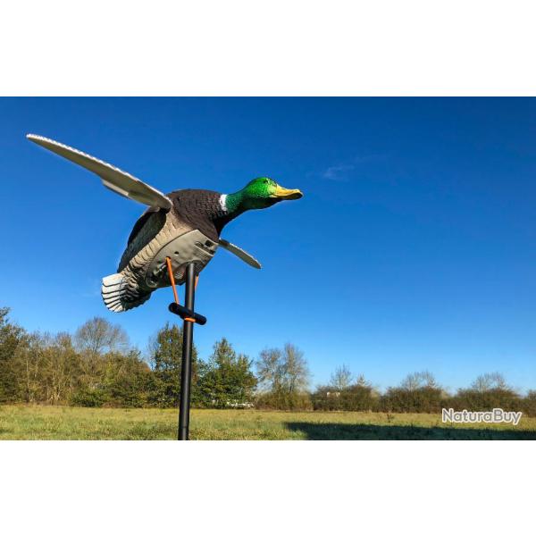 Appelant lectronique canard ailes tournantes