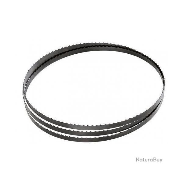 LAME DE SCIE A RUBAN EN 20 MM 1600 mm