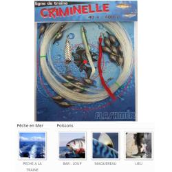 TRAINE CRIMINELLE 400g FLASHMER