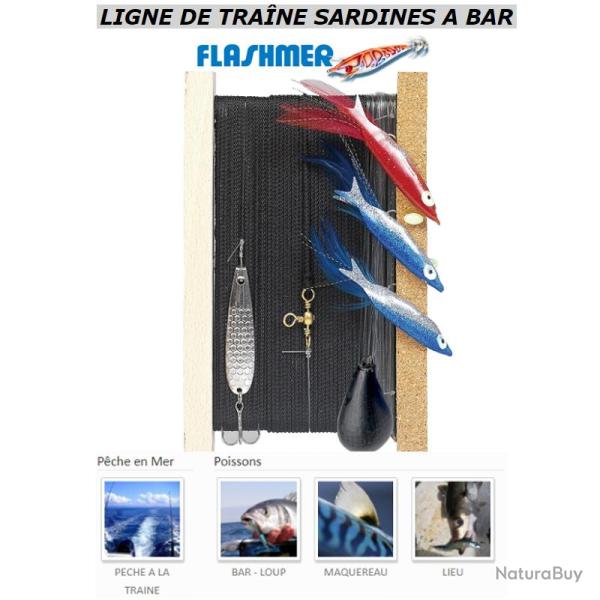 TRAINE SARDINES A BAR FLASHMER