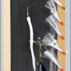 TRAINE COTE OUEST FLASHMER