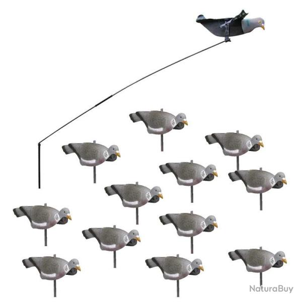 Pack d�butant du chasseur de pigeons