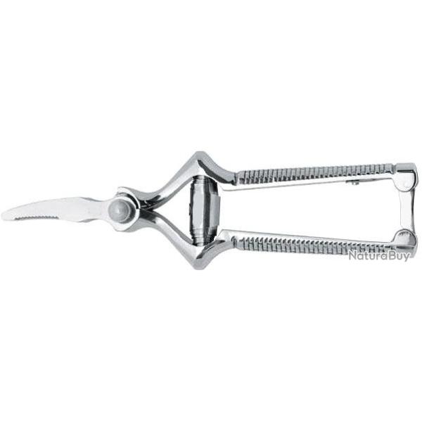 Masticateur de viande courbe en acier inoxydable