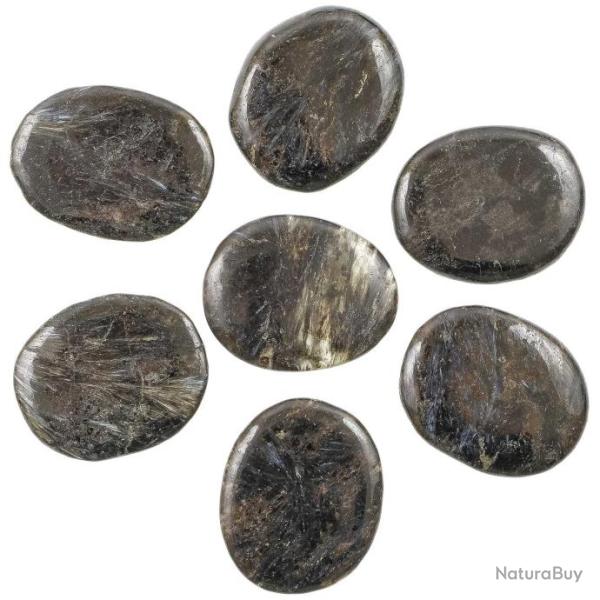 Galet plat astrophyllite - A l'unit�