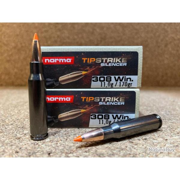 LOT DE 2 BOITES DE MUNITION NORMA 308 WINCHESTER TIPSTRIKE 170 gr