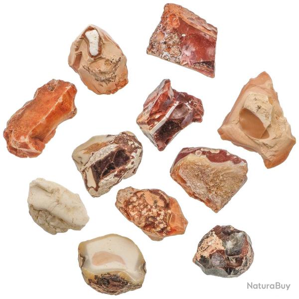 Pierres brutes opale de feu - 2 � 3 cm - Lot de 2