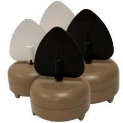 Mojo Dove a Flickers