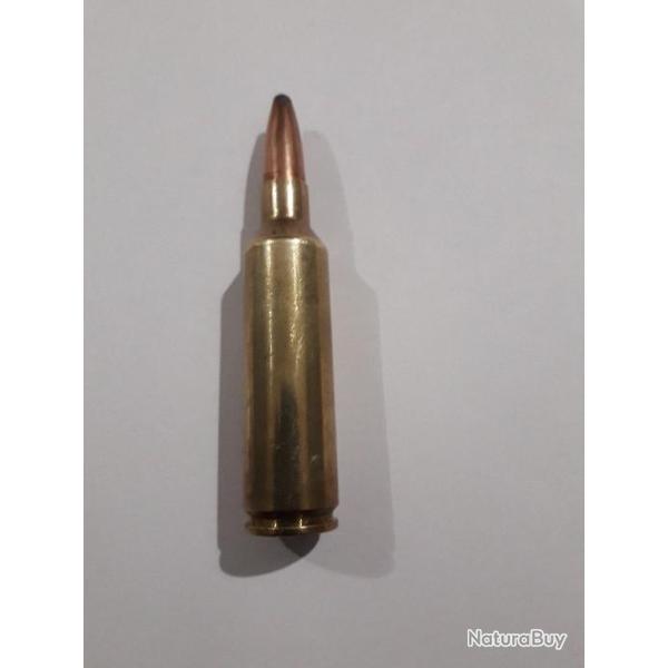 Pour collection 1munition 270wsm  PowerPoint 9,7gr