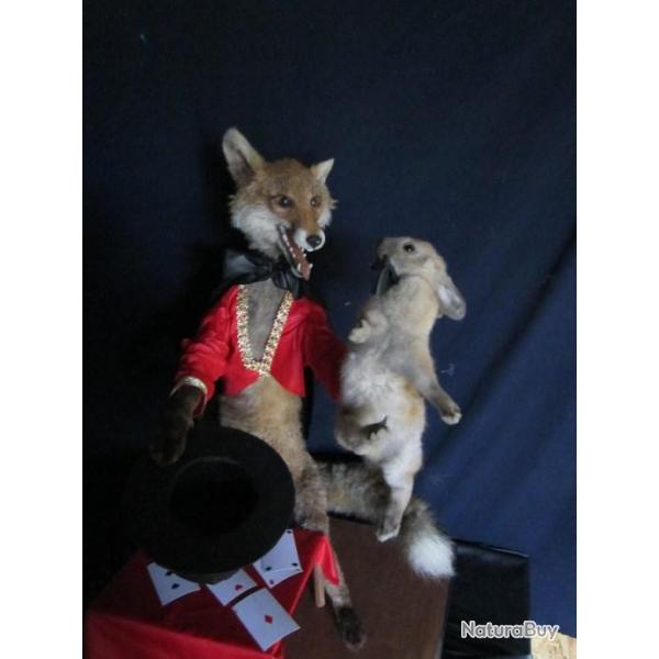 reserver taxidermie anthropomorphique renard lapin taxidermy fox circus rabbit curiosit odditties