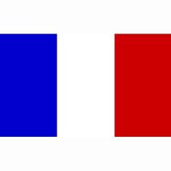 Drapeau France (101 Inc)